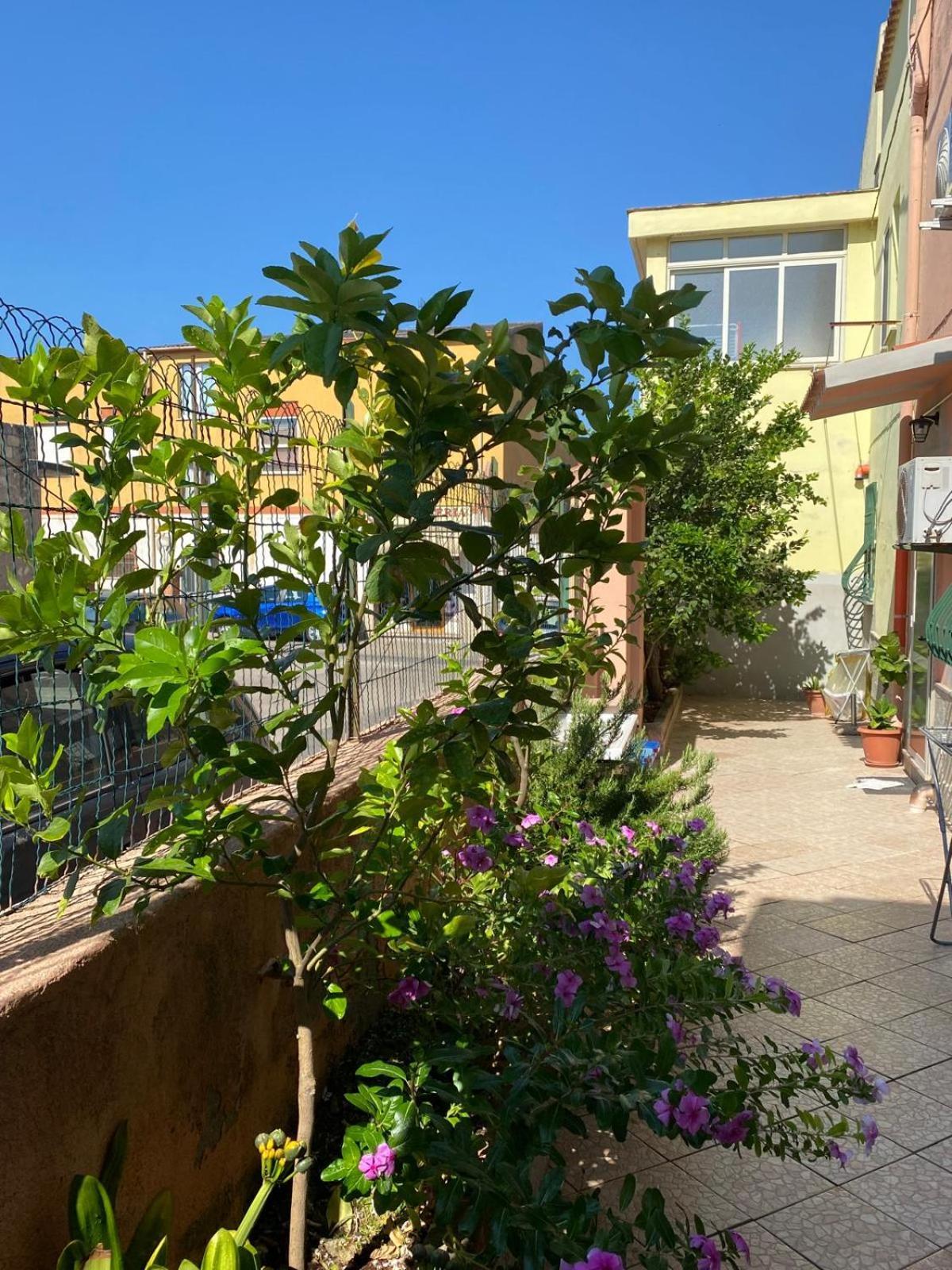 Lemon House Apartment Sassari Exterior foto